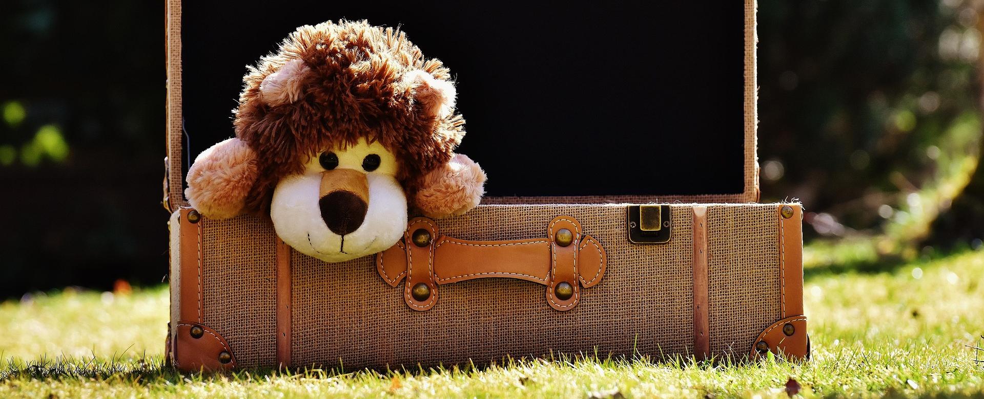 Günstiges Steiff Geschäft 1 Günstiges Steiff Geschäft -Günstiges Steiff Geschäft cuddly toy 2149742 1920